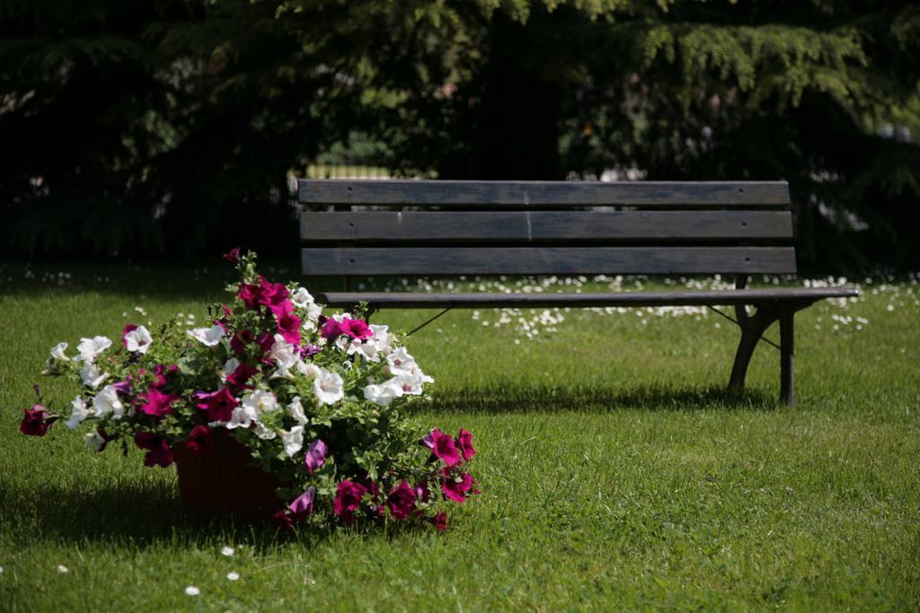 Hotel Bassetto Ferentino Εξωτερικό φωτογραφία