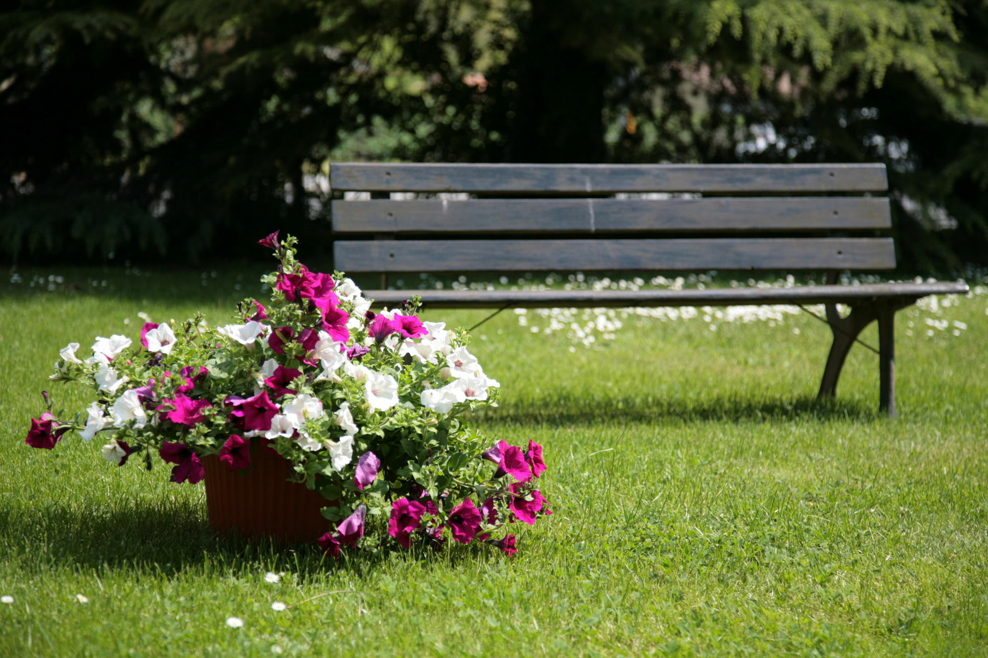 Hotel Bassetto Ferentino Εξωτερικό φωτογραφία
